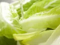 Salatschüssel mit Räucherhähnchen Zubereitung Schritt 10 Salatschüssel mit Räucherhähnchen Zubereitung Schritt 10