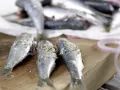 Sardinen auf venezianische Art Zubereitung Schritt 5 Sardinen auf venezianische Art Zubereitung Schritt 5