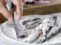 Sardinen auf venezianische Art Zubereitung Schritt 6 Sardinen auf venezianische Art Zubereitung Schritt 6