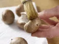 Scampi-Gemüse-Spieß Zubereitung Schritt 4 Scampi-Gemüse-Spieß Zubereitung Schritt 4