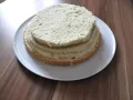 Schildkröten-Torte Zubereitung Schritt 6 Schildkröten-Torte Zubereitung Schritt 6