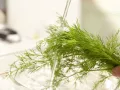 Seelachs-Medaillons »Goldtaler« Zubereitung Schritt 8 Seelachs-Medaillons »Goldtaler« Zubereitung Schritt 8