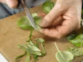 Spargel aus dem Ofen Zubereitung Schritt 8 Spargel aus dem Ofen Zubereitung Schritt 8