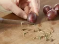 Stachelbeerkranz Zubereitung Schritt 1 Stachelbeerkranz Zubereitung Schritt 1