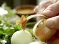 Tafelspitzeintopf Zubereitung Schritt 1 Tafelspitzeintopf Zubereitung Schritt 1