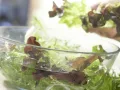 Tamarinden-Wachteln Zubereitung Schritt 5 Tamarinden-Wachteln Zubereitung Schritt 5