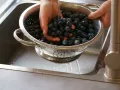 Tarte mit Blaubeeren Zubereitung Schritt 3 Tarte mit Blaubeeren Zubereitung Schritt 3