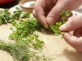 Tellersülze mit Kassler Zubereitung Schritt 10 Tellersülze mit Kassler Zubereitung Schritt 10