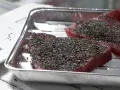 Thunfisch in Schwarzkümmel-Hülle Zubereitung Schritt 8 Thunfisch in Schwarzkümmel-Hülle Zubereitung Schritt 8