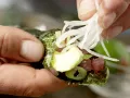 Thunfisch-Tatar in Sushi-Tüten Zubereitung Schritt 12 Thunfisch-Tatar in Sushi-Tüten Zubereitung Schritt 12