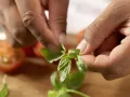 Tomaten-Sandwich Zubereitung Schritt 5 Tomaten-Sandwich Zubereitung Schritt 5