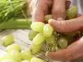 Trauben-Sellerie-Saft Zubereitung Schritt 1 Trauben-Sellerie-Saft Zubereitung Schritt 1