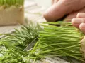 Trauben-Sellerie-Saft Zubereitung Schritt 3 Trauben-Sellerie-Saft Zubereitung Schritt 3