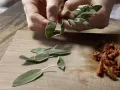 Würzige Putenrouladenspieße Zubereitung Schritt 2 Würzige Putenrouladenspieße Zubereitung Schritt 2