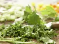 Würziger Oktopus-Gemüse-Salat Zubereitung Schritt 6 Würziger Oktopus-Gemüse-Salat Zubereitung Schritt 6