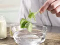 Zitrus-Soja-Drink Zubereitung Schritt 1 Zitrus-Soja-Drink Zubereitung Schritt 1