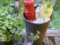 Alkoholfreie Erfrischungsgetränke Rezept