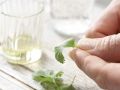 Aprikosen-Ingwer-Schorle Zubereitung Schritt 1 Aprikosen-Ingwer-Schorle Zubereitung Schritt 1