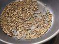 Auberginen-Kokos-Curry Zubereitung Schritt 1 Auberginen-Kokos-Curry Zubereitung Schritt 1