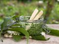 Bärlauchpesto mit Brennnessel Rezept