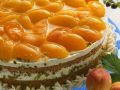 Biskuittorte mit Aprikosen Rezept