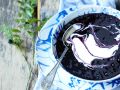 Blaubeersuppe aus Schweden Rezept