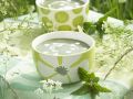 Brennesselsuppe mit Sahne Rezept