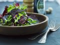 Bunter Blattsalat Rezept