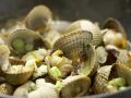 Chinesische Muscheln Zubereitung Schritt 6 Chinesische Muscheln Zubereitung Schritt 6