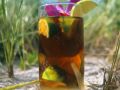 Cuba-Libre Rezept