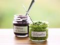 Dill-Pesto Rezept