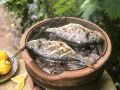Dorade vom Grill mit Zitronen-Olivenöl-Sauce Rezept