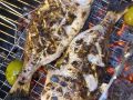 Doraden vom Grill Rezept