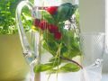 Erfrischendes Wasser Rezept