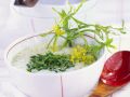 Feine Kräutersuppe Rezept