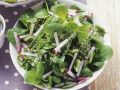 Feldsalat mit Kräutern Rezept