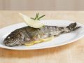 Forelle vom Grill Rezept