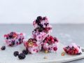 FroYo Bites Rezept