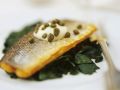 Gebratener Zander auf Spinat Rezept