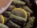 Gefüllte Weinblätter arabisch Rezept