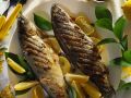 Gegrillte Forellen Rezept