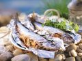 Gegrillte Heringe in der Folie Rezept