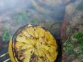 Gegrillte Koteletts mit Grill-Zitronen Rezept