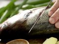 Geschmorter Fisch Shanghai Zubereitung Schritt 4 Geschmorter Fisch Shanghai Zubereitung Schritt 4