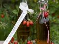 Hagebuttenessig Rezept