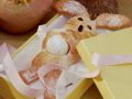 Hefe Osterhase Rezept