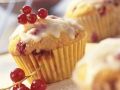 Johannisbeer-Muffins Rezept