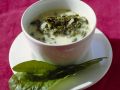 Kalte Suppe vom Sauerampfer Rezept
