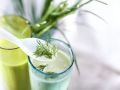 Kefir-Avocado-Shake mit Kräutern Rezept