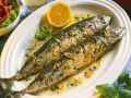 Makrele mit Knoblauch Rezept